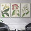Ensemble de 3 pièces encadrées sur toile Antique Botanical Collection VI-97760382-97760388