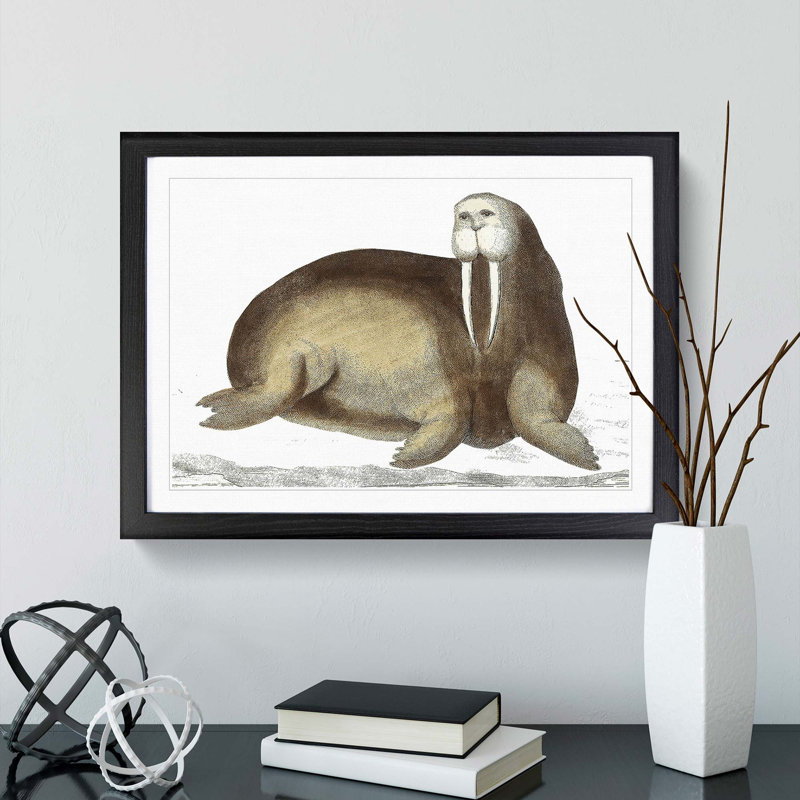 Arctic Walrus by George Shaw - Picture Frame Painting, Black, 40cm H x 60cm W x 2cm D