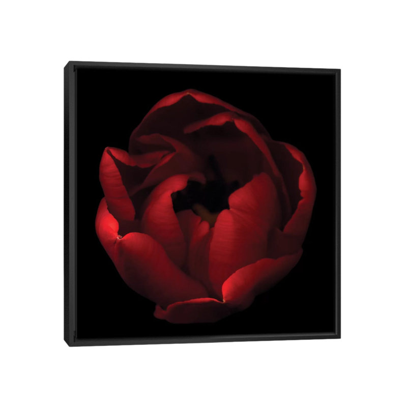 par Magda Indigo - impression d'art graphique, H 18 po x l 18 po x P 1,5 po, Toile encadrée noire, Aucun mat
