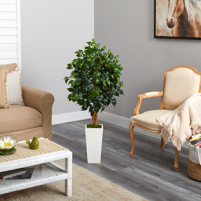 Faux Ficus Tree in Clay Planter, White, 48" H x 28" W x 26" D