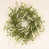 White/Green