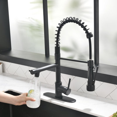 FLG Kitchen Faucet with Soap Dispenser