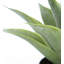 Plante grasse artificielle 14 po