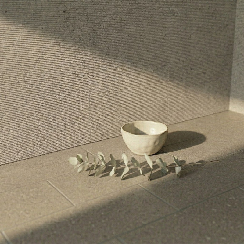 Pavé calcaire 16 x 24 Rivage