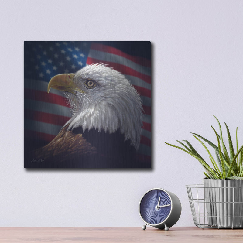 «American Bald Eagle» par Collin Bogle, H 12 po x l 12 po