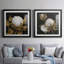 Cotton Balls I - Cadre photo-1492861061-1492861058-1492861057