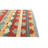 Newsom Multi Rug