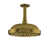 Supercoat Brass