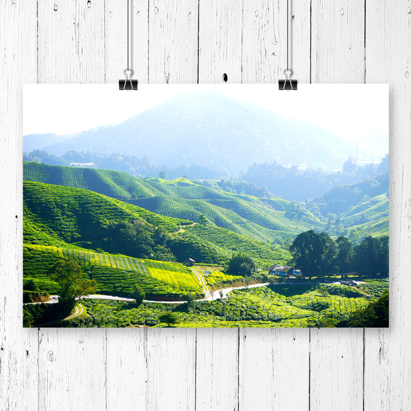 Landscape Tea Plantation Kuala Lumpur Malaysia - Frameless Print, 29.7cm H x 42cm W