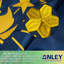 Drapeau de l'État de l'Indiana brodé Anley EverStrong Series - l 36 po x H 60 po 