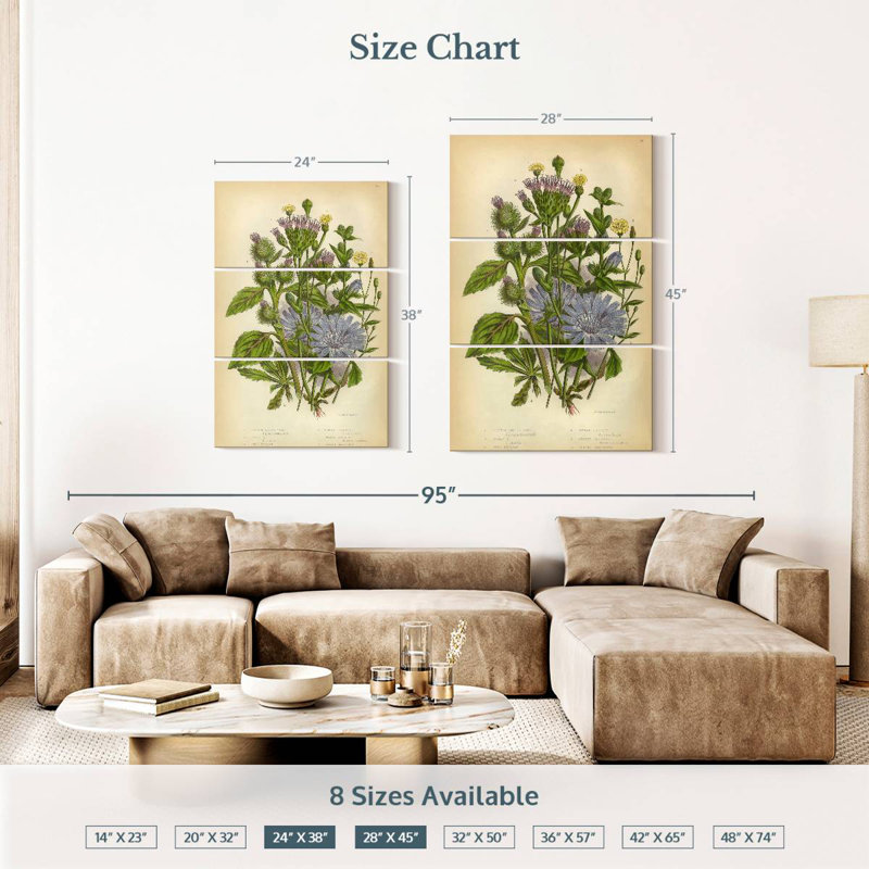 Harnek Victorian Flowering Plants