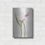 «Light Tulips III» par Debra Van Swearingen-1985103901