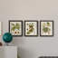 Feuilles antiques I - ensemble de 3 peintures sur toile encadrées-371832425-371832404