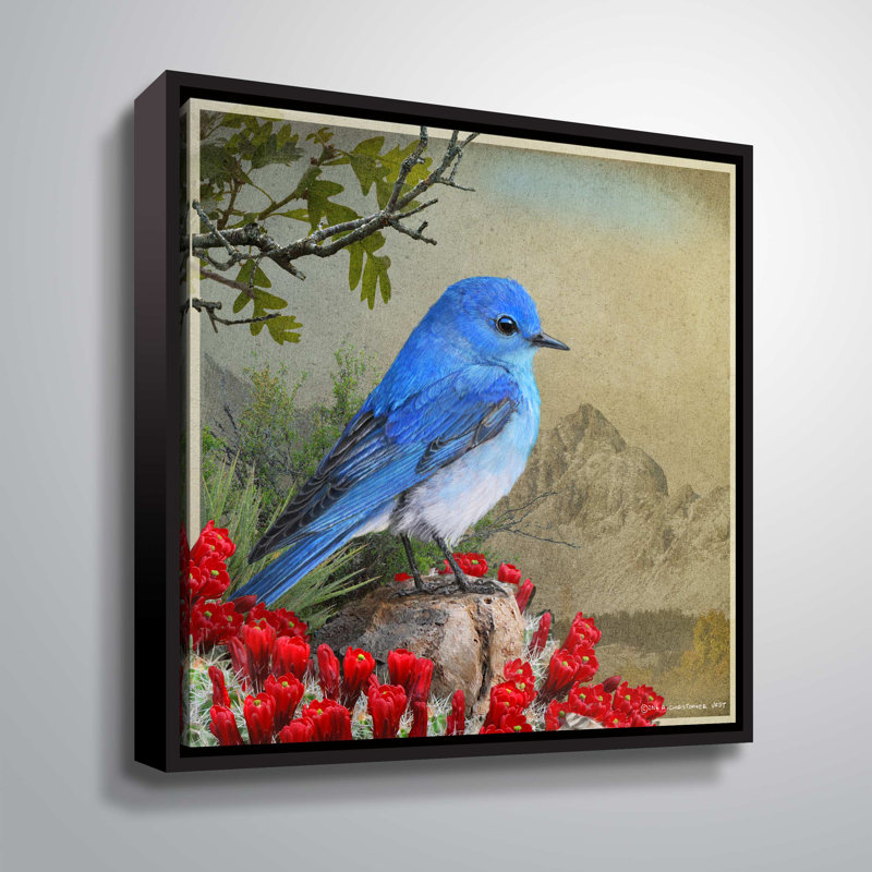 « rouge-gorge négligent »-impression sur toile, H 14 po x l 14 po x P 2 po, Cadre noir