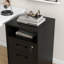 40cm Wide 2 -Drawer Mobile File Cabinet