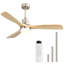 Ceiling Fan with LED Lights