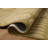Brigette Romanek Madi Light Olive / Oatmeal Area Rug-119905506
