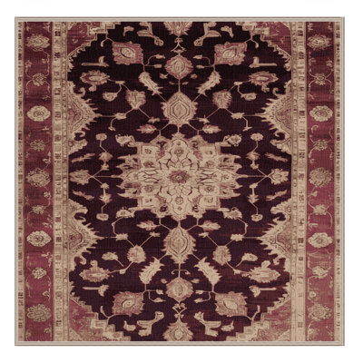 Machine Washable Overdyed Brown Area Rug