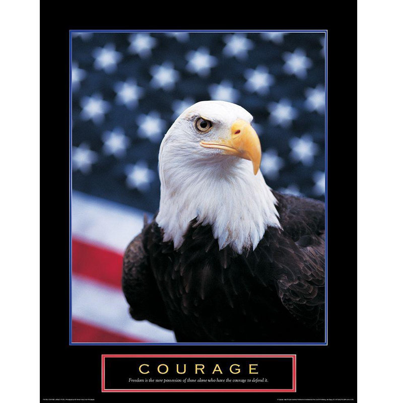 Art sur toile Loon Peak® Inconnu: Courage, aigle et drapeau, H 45 po x l 36 po