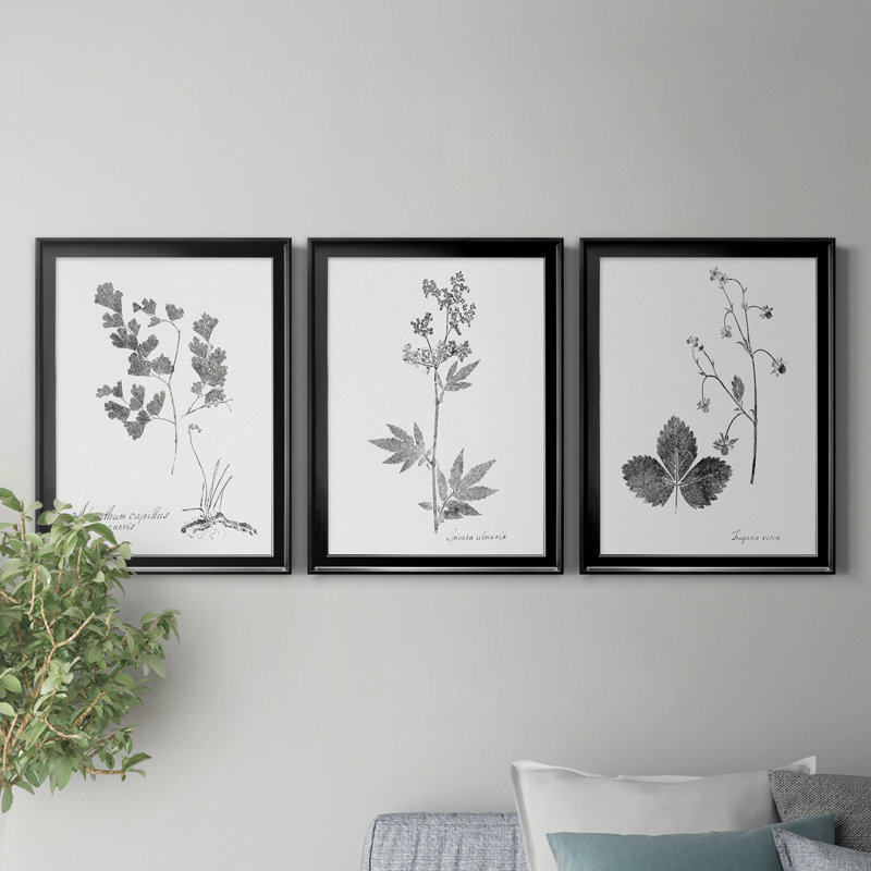 «Botanical Imprint I», ensemble de 3 peintures sur toile encadrées, Cadre noir, H 18,5 po x l 73,5 po x P 1,5 po