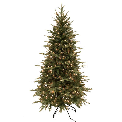 Lighted Christmas Tree