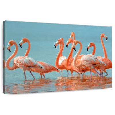 Brampt Flock Of Greater Flamingos