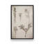 Reproduction d'art sur toile Wildflower Journal Vintage par Nathan Larson-407291662-407291663-407291660