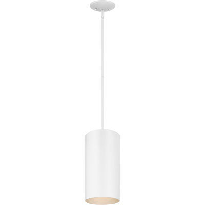 LED Outdoor Pendant