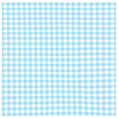 Blue White Gingham Comforter