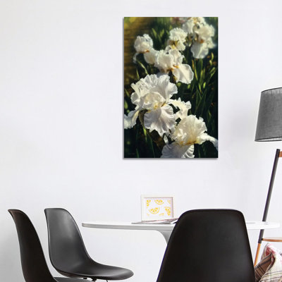 " Iris Garden " by Collin Bogle