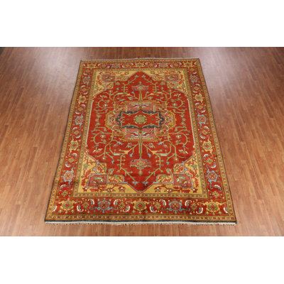 Wool Medallion Traditional Indian Area Rug 9x12