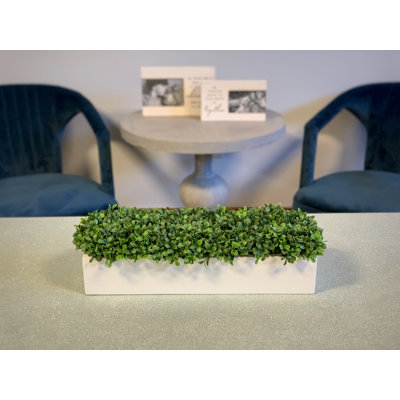 Arrangement de faux buis Garnes