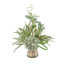 Botanicals