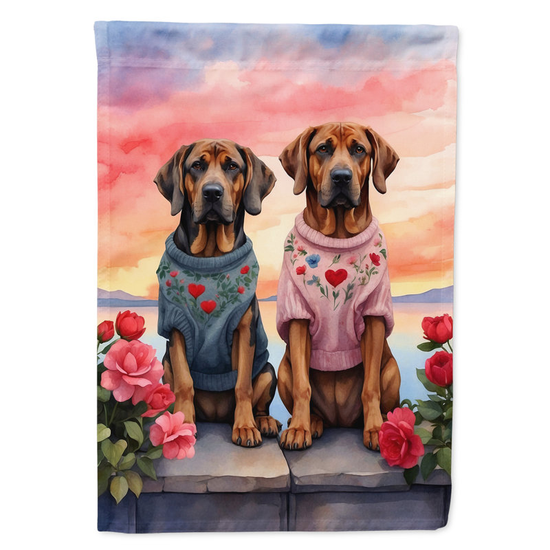 Double Sided 40'' H x 28'' W Polyester Valentine's Day House Flag