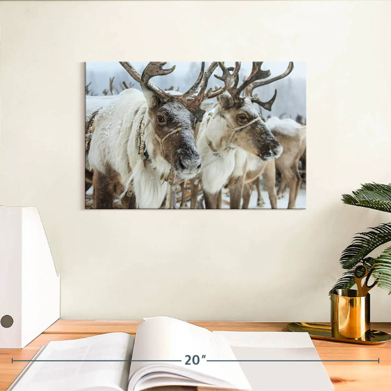 Snow Reindeer, 8" H x 12" W