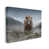 Wrapped Canvas selected