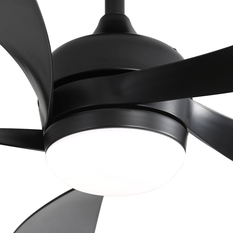 Ventilateur de plafond standard à 5 pales avec télécommande et lumière DEL Damecia, Noir / Noir, 42"