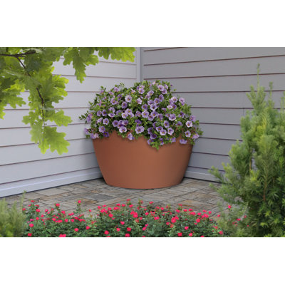 Corner Plastic Pot Planter