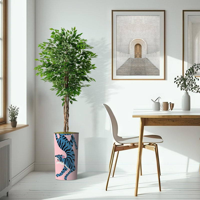 75 plantes, Tigre bleu
