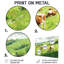 Cows In The Pasture - campagne, impression sur métal-93029601