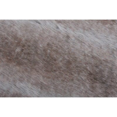 Tapis taupe à imprimé animal loup