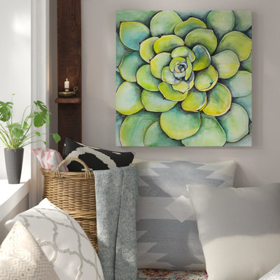 " Succulent Plant "