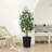Adcock UV Protected Artificial Ficus Tree with Decorative Base, Faux Ficus Plant with Natural Trunk-1914722520-1914722527