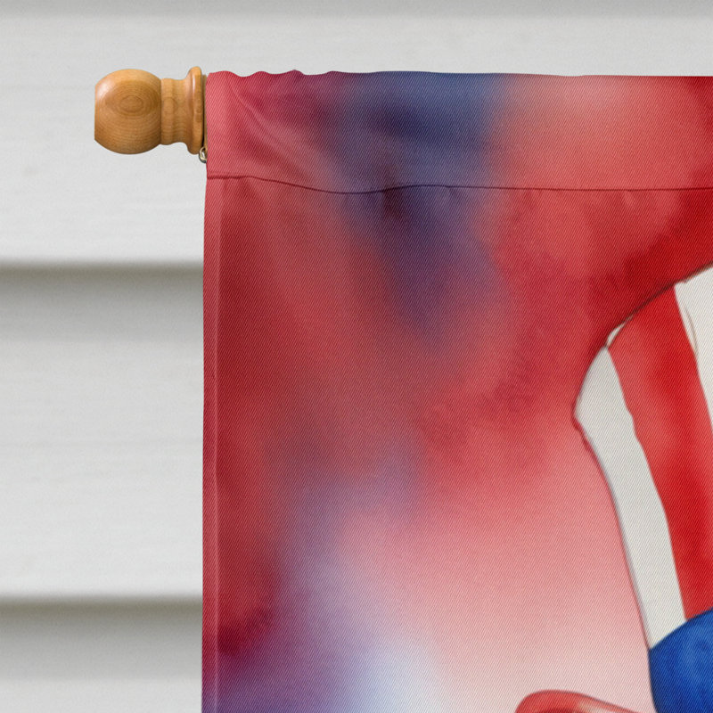 Drapeau patriotique de la maison américaine, Berger australien