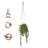 Ceramic Hanging Planter