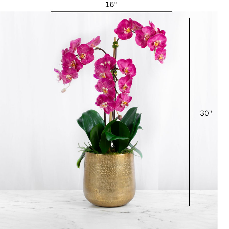 Silk Orchid Arrangement in Vase