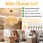 6 - Light Chandelier