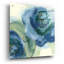 «Wannabe Poppies II» par Chris Paschke-1058249098