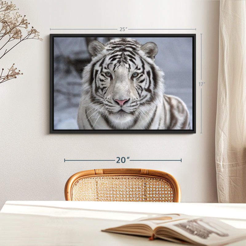 Animal «Endangered White Tiger», reproduction sur toile, H 17 po x l 25 po