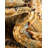 Niles Floral Indoor Rug-2129082883